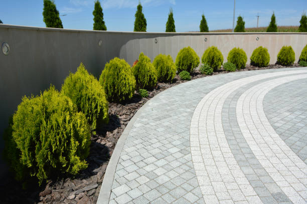 Best Best Driveway Pavers  in Evanston, WY